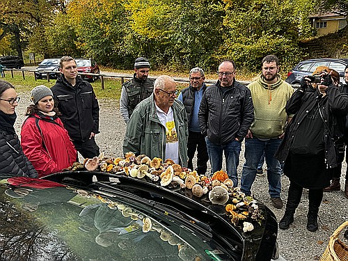 klein1_alle_Pilzfunde_Besprechung_IMG_4703.jpg desc