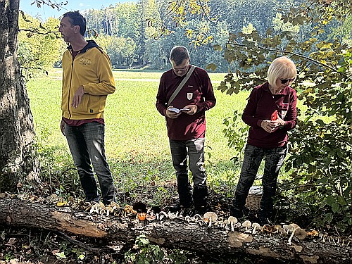 klein1_Funde_dokumentieren_IMG_5328.jpg desc